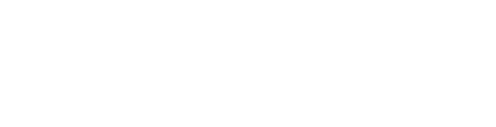MC Immo